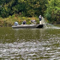Setting the net