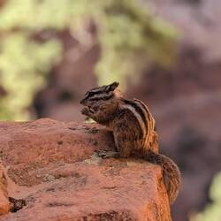 Darf man nicht füttern!!
