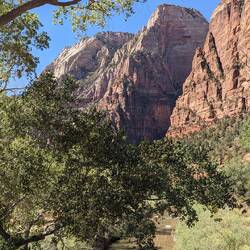 Auf dem Weg zu Angels Landing (Zion)