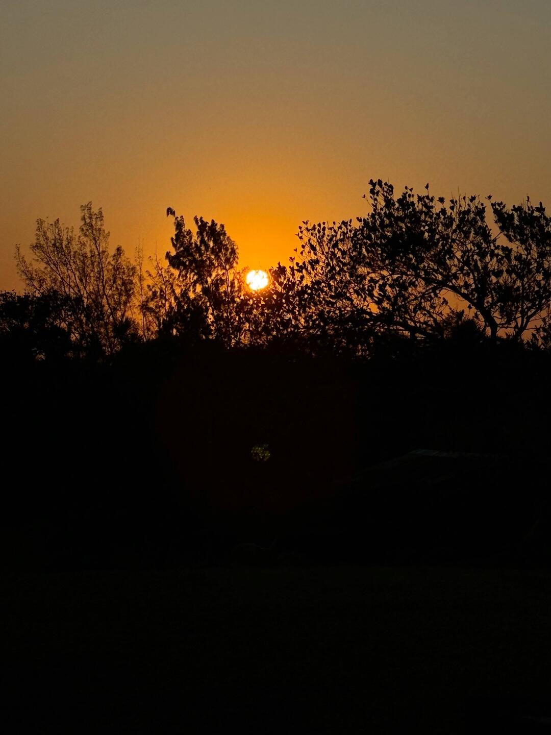 Sonnenaufgang 🌅