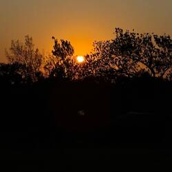 Sonnenaufgang 🌅