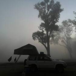 Wir stehen morgens im Nebel