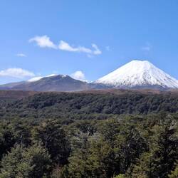 Mt Tongariro