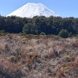 Mt Tongariro