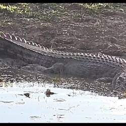 Video production by Phil