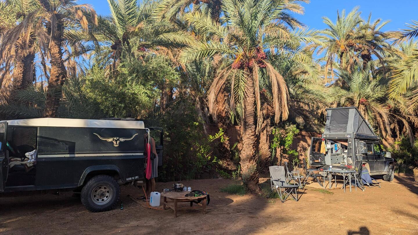 Unser Platz unter Palmen