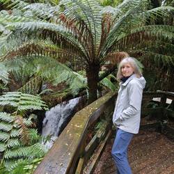 "Anne's Cascade" was a lovely little waterfall.