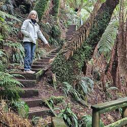 "Hey Mark, what is that?"