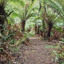 Leaving the trail heading downhill.