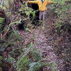 Mark is in front of a very large uprooted tree.