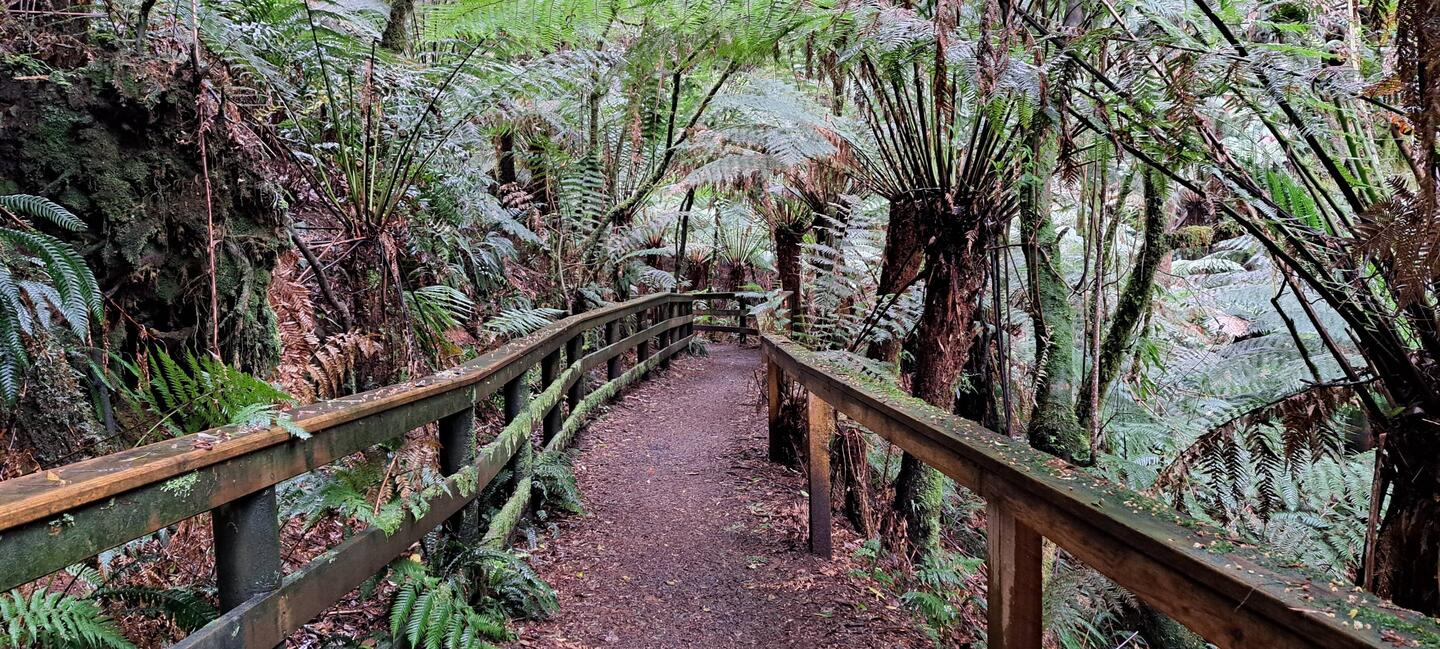 Entrance to Melba Gully