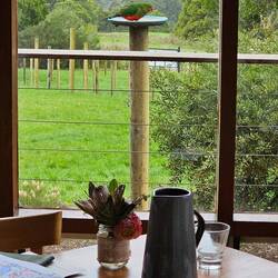 Lunch at a restaurant called "The Perch" at Lavers Hill