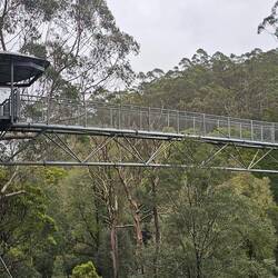 The 'cantilevered' viewing deck.