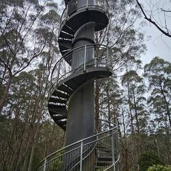 We climbed the 106 steps to view the park