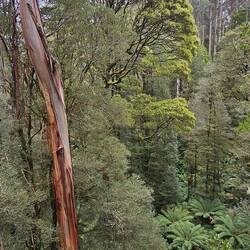 View from the walkway.