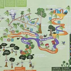 Otway Fly Treetop Adventures trail.