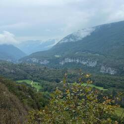 The woods and hills of the Jura