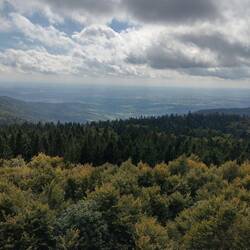 Blick vom Hirschenstein, ganz unten ein Stück Donau