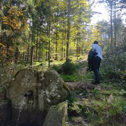 Pfeifenbrunn
