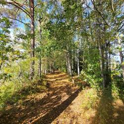 Auch die Sonne begleitet uns etwas.