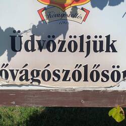 ...das ich nicht übersetzen kann😆