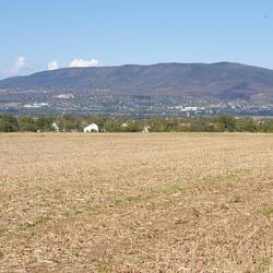 Das Mecsekgebirge nördlich von Pécs