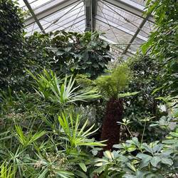 Gewächshaus im botanischen Garten