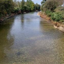 Wir überqueren die Mühlheimer Ache, kurz vor der Mündung in den Inn....