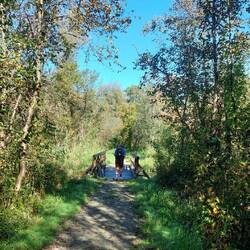 Schon ein bisschen herbstliche Stimmung!