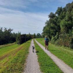 Dann für längere Zeit auf dem Inndeich!