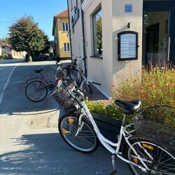 Everyone rides bikes here.