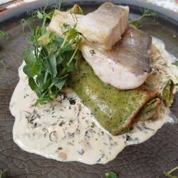 Zander mit Kräuter Crepe und Dill Sauce