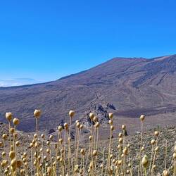 La Palma mit ihren zwei Erhebungen aus den Wolken