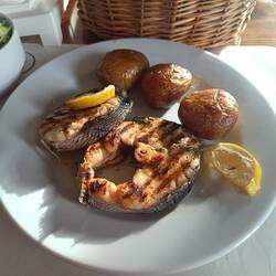 Gegrillter Barracuda
