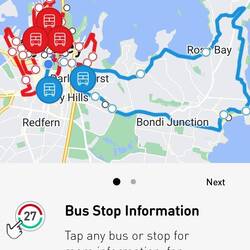 The red/blue bus paths --- we got around a sizeable part of it for our first day!