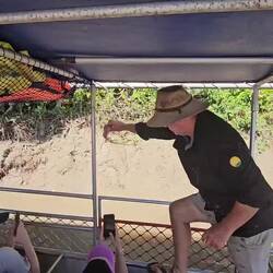 TURN UP THE SOUND FOR THE VIDEO