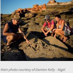 fossils of dinosaur footprints located offshore but only visible during low tide