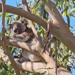 Action packed video :)