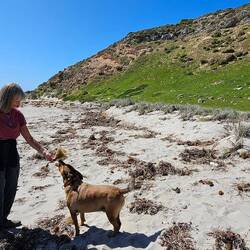 J9 making new friends