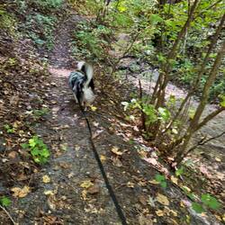 Leading the way