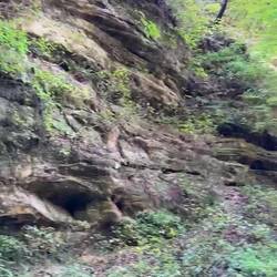 One of four canyons we visited