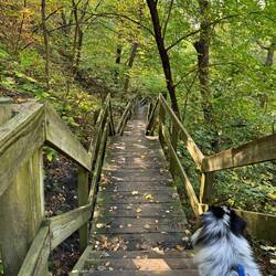 We went up and down. Quite the quad and calf workout