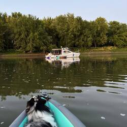 Return from shore visit