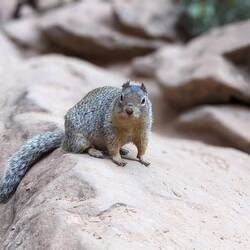 Wieder nicht füttern!