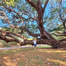 Ich bin soooo fasziniert, dass ein Baum so wachsen und stehen kann.🥰