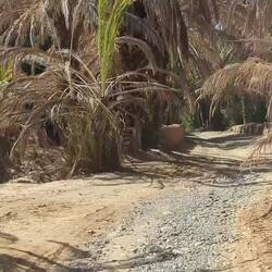 Holpern wir durchs Dorf