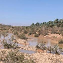 Überall kleine Seen