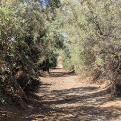 Durch diese hohle Gasse ...