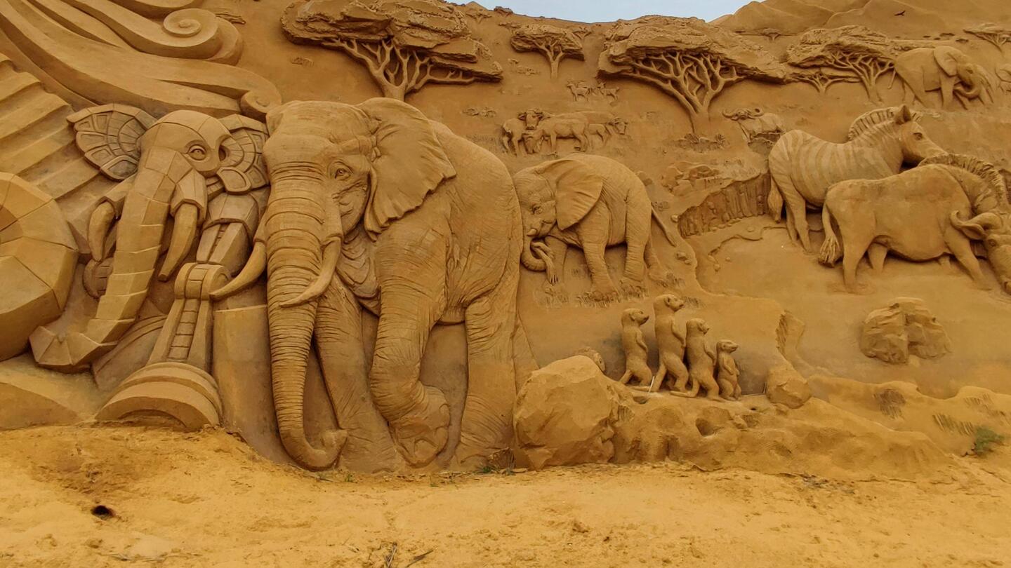 Fast wie in Afrika🐘
