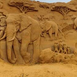 Fast wie in Afrika🐘